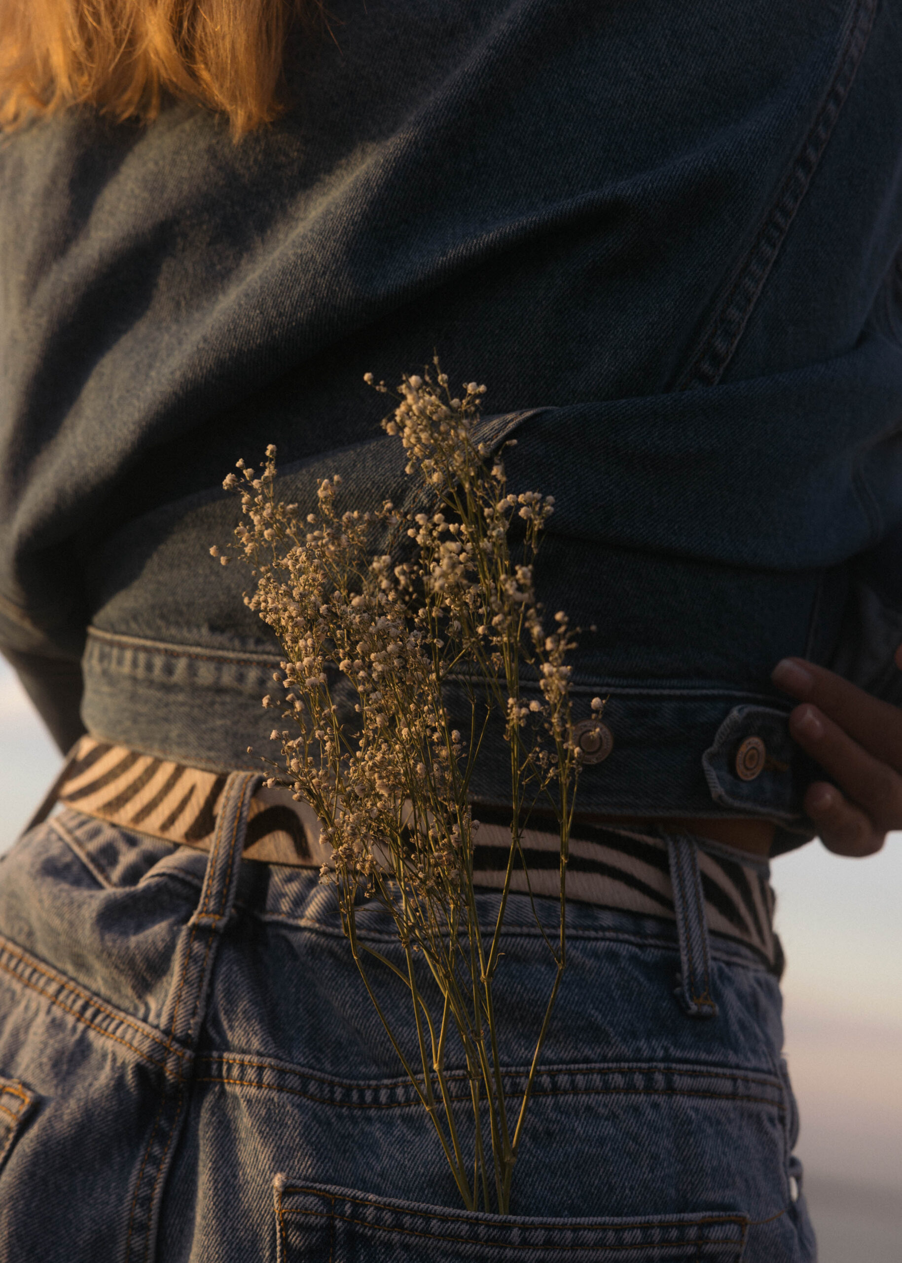 Jill | Cape Town | Blooms in Sunset's Embrace | Photography | Jenny Haimerl